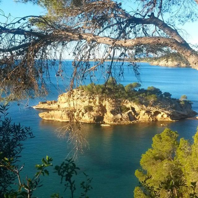 Apartament Nautic L'Ametlla de Mar Zewnętrze zdjęcie